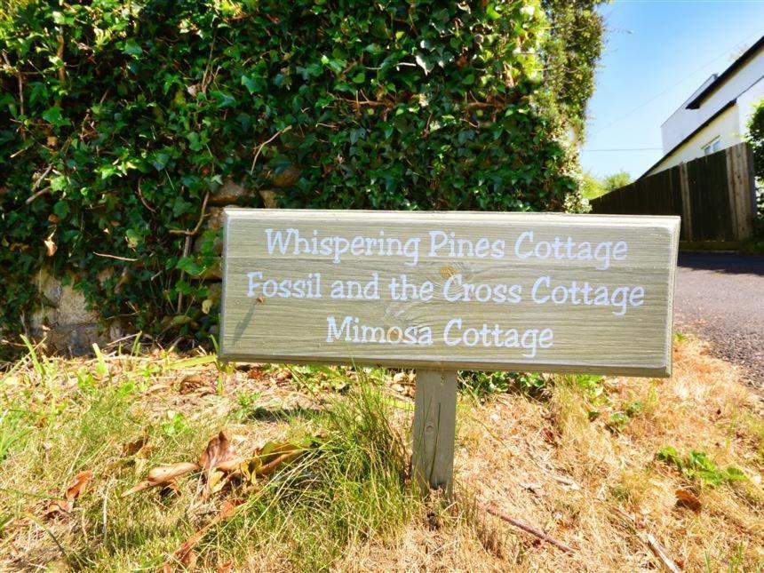 Whispering Pines Cottage, West Bexington Swyre Exterior foto